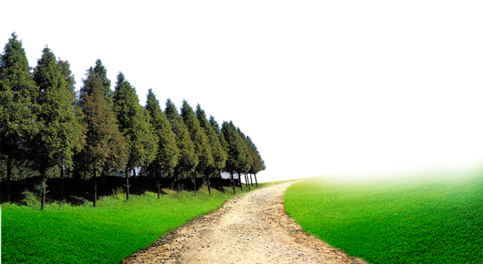 森林道路乡村振兴