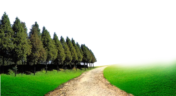 森林道路乡村振兴