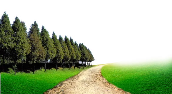 森林道路乡村振兴