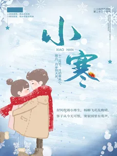 中国传统冬天小寒祝福24二十四节气节日宣传活动海报