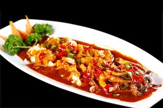 R00692富贵鱿鱼 (2)