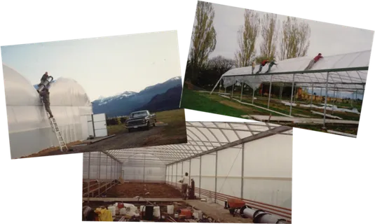 大棚种植养殖业现代农业