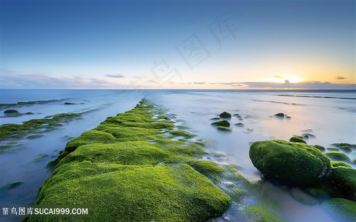 唯美大海海边绿色礁石海滩景色风景图片素材