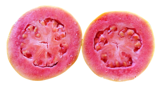 番石榴剖面切开