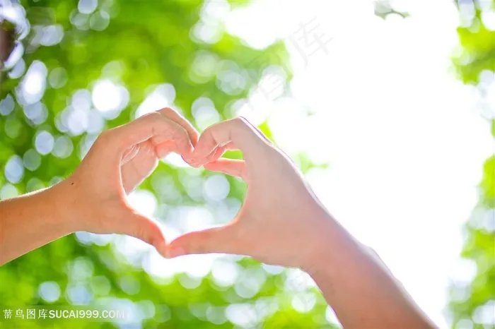 小清新阳光树叶爱心