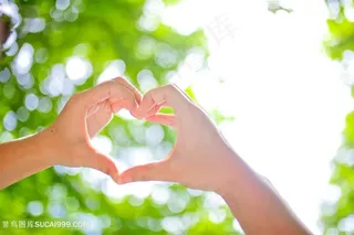 小清新阳光树叶爱心