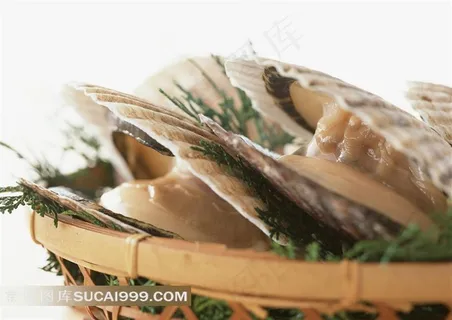 日本料理海鲜河蚌