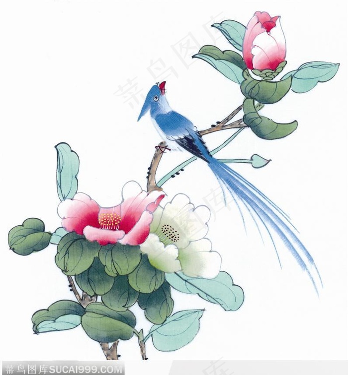 工笔画—芙蓉