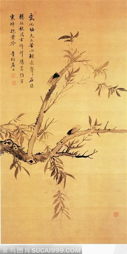 柳树图