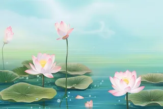 创意淡雅简约国风荷花国潮背景