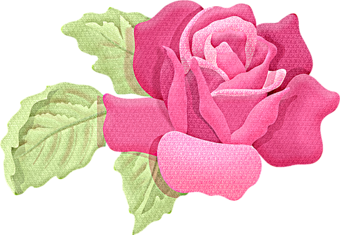 月季花朵红色素材谷雨春季