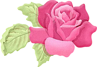 月季花朵红色素材谷雨春季