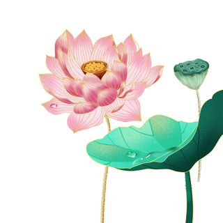 国潮中国风手绘荷花莲花荷叶莲藕植物花卉装饰插画PSD设计素材