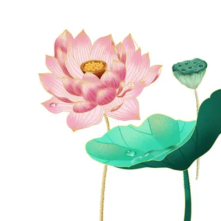 国潮中国风手绘荷花莲花荷叶莲藕植物花卉装饰插画PSD设计素材