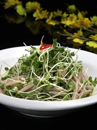 LCSC1552萝卜苗拌鱼鱼