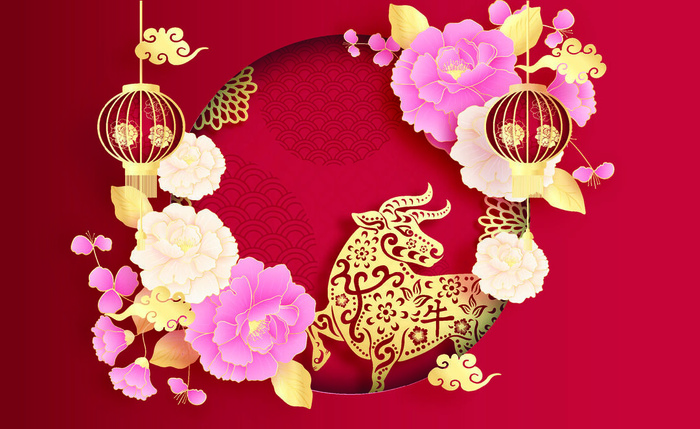 设计装饰新年快乐祝贺春节