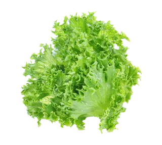 生菜 (51)超市商品白底图免抠实物摄影png格式图片透明底