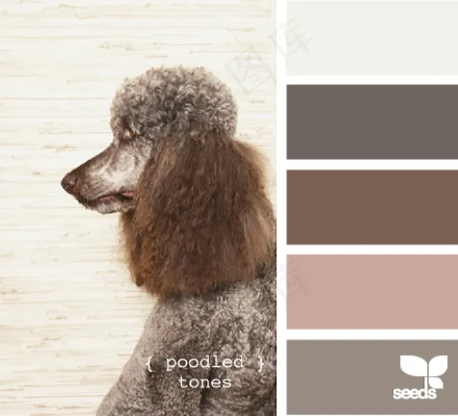 动物配色色卡色彩搭配