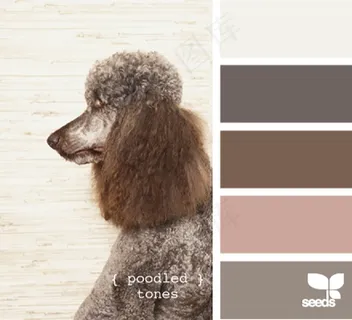 动物配色色卡色彩搭配