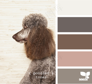 动物配色色卡色彩搭配