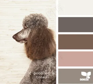 动物配色色卡色彩搭配