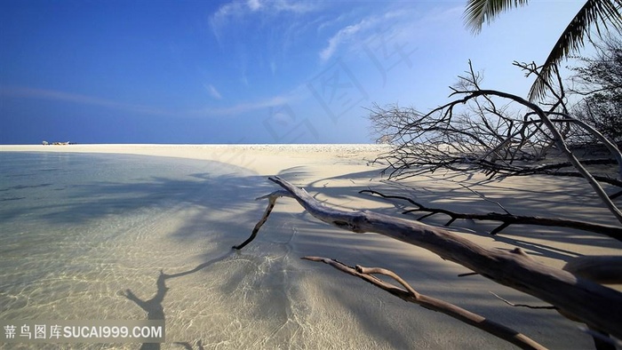 沙漠沙滩风景画壁纸