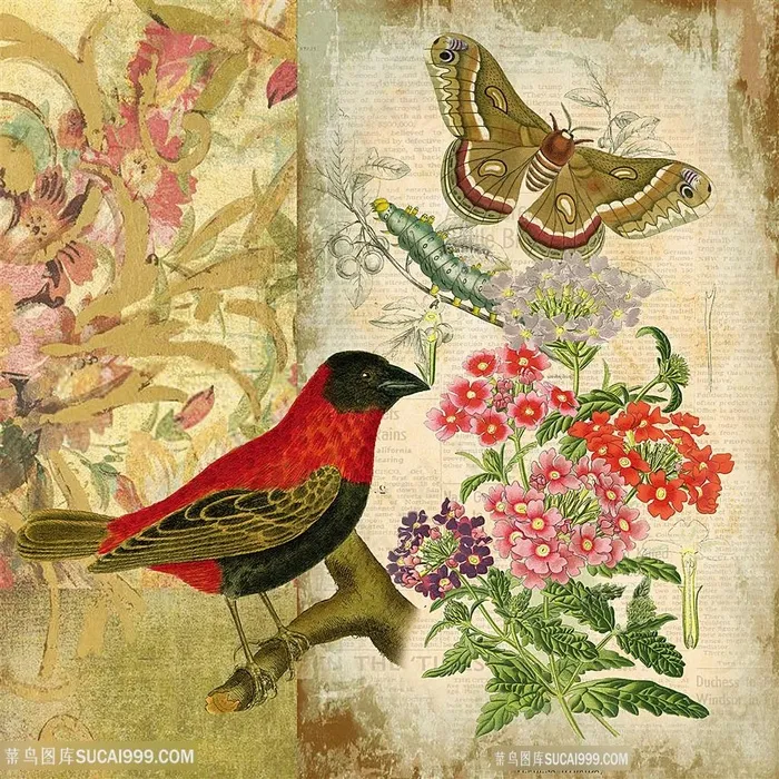 欧式花鸟装饰画