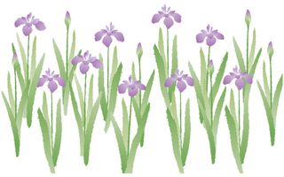 高清背景纹理花纹