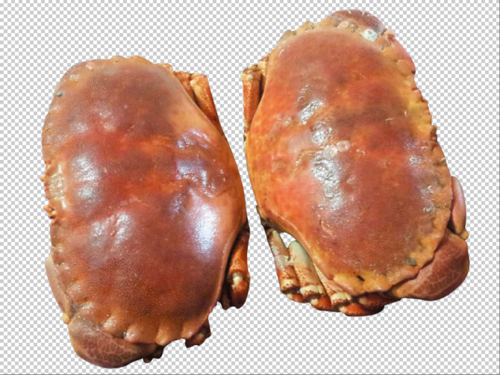 面包蟹免扣素材psd模版下载