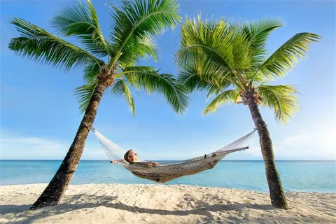 美丽的沙滩椰子树景色高清图