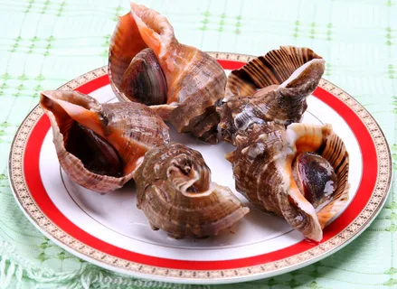 52  海螺-阳滩鱼港(2006)