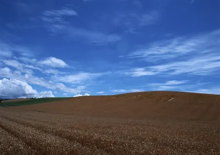 蓝蓝的天上白云飘概念图片素材