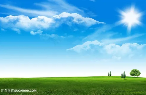 蓝天白云草地树木 蓝天白云草地树木