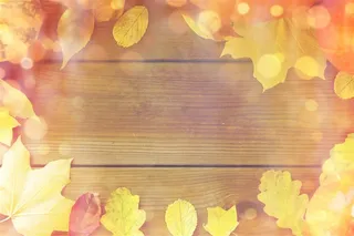 木板上的秋天树叶边框摄影高清图