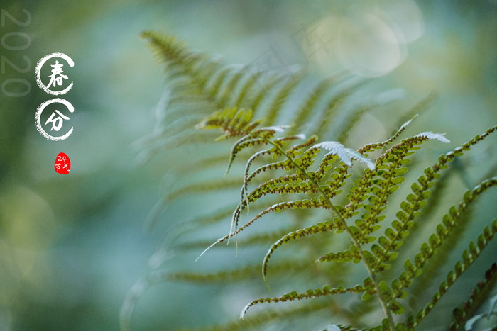 2020年春分节气图片