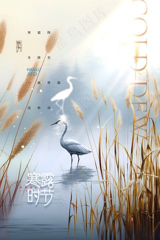 寒露飞鸟二十四节气海报