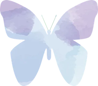 卡通动画动画蝴蝶免扣PNG手绘插画图片素材 (110)