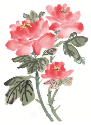 花卉大图图片素材