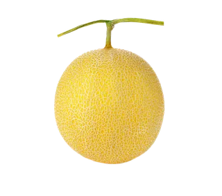 哈密瓜 (8)水果超市商品白底图免抠实物摄影png格式图片透明底