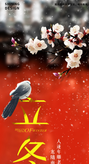 宫墙外的小鸟立冬二十四传统节气海报