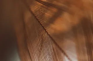 极简轻奢羽毛背景纹理简约高端底纹