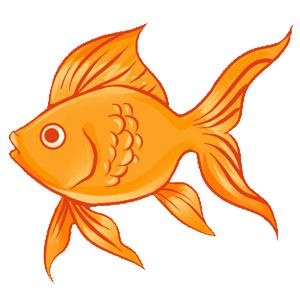 金鱼 PNG免抠(300x300)