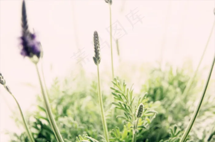 暖色系非主流图片