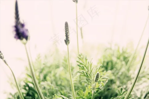 暖色系非主流图片