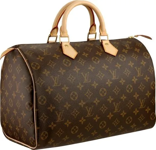Louis Vuitton 女包 PNG免抠(2452x2369)