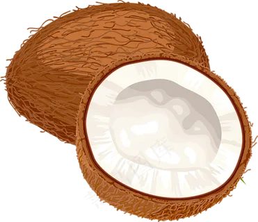 椰子免抠素材 (1)
