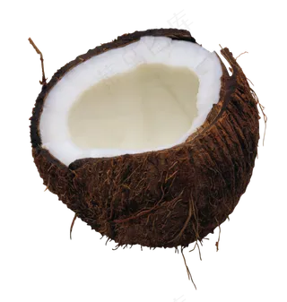 椰子免抠素材 (27)