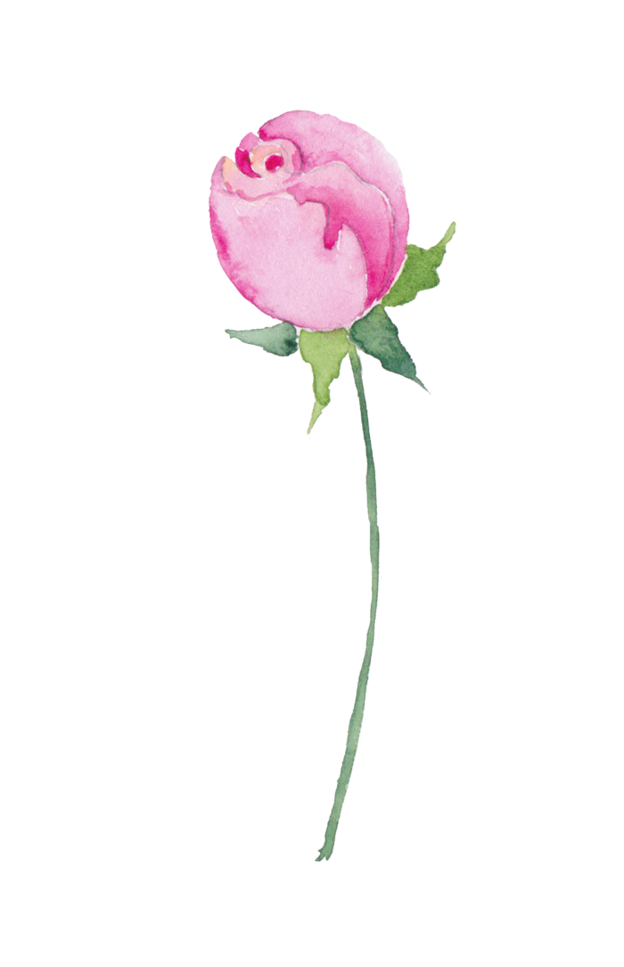 鲜花玫瑰免扣素材