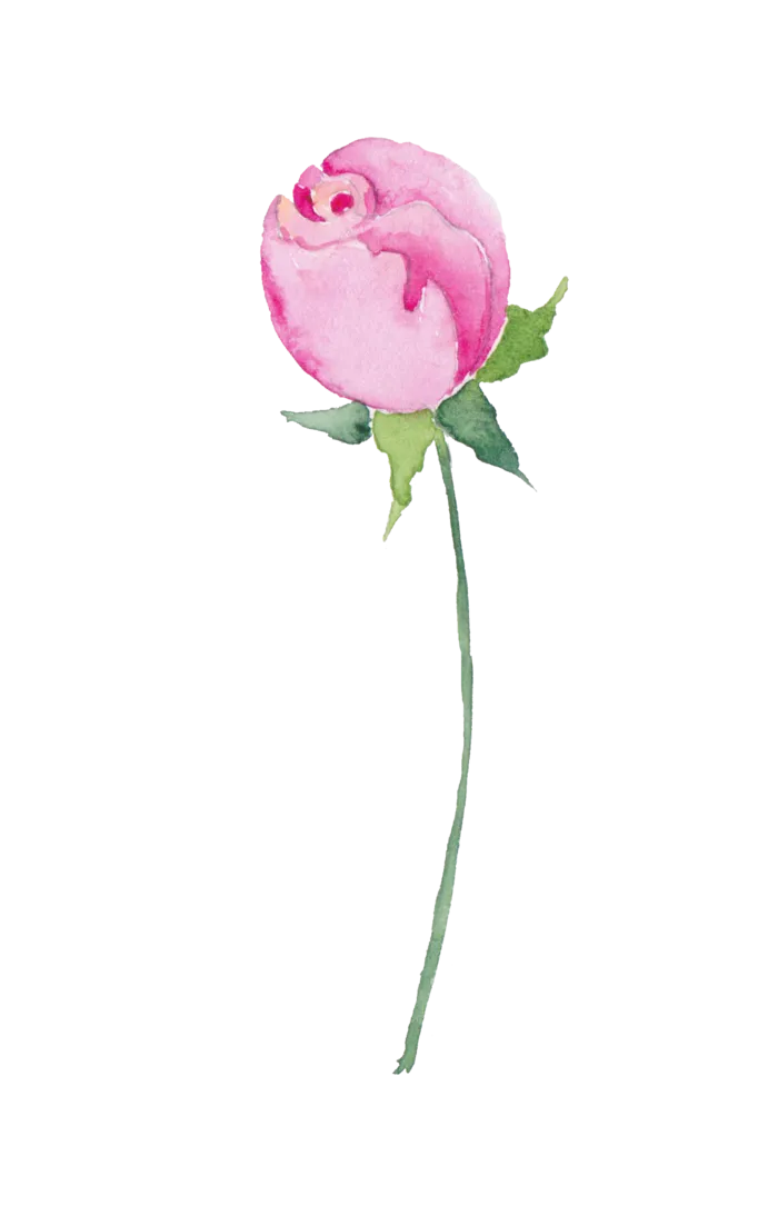 鲜花玫瑰免扣素材