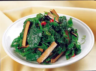 95LC-305豆干龙须菜